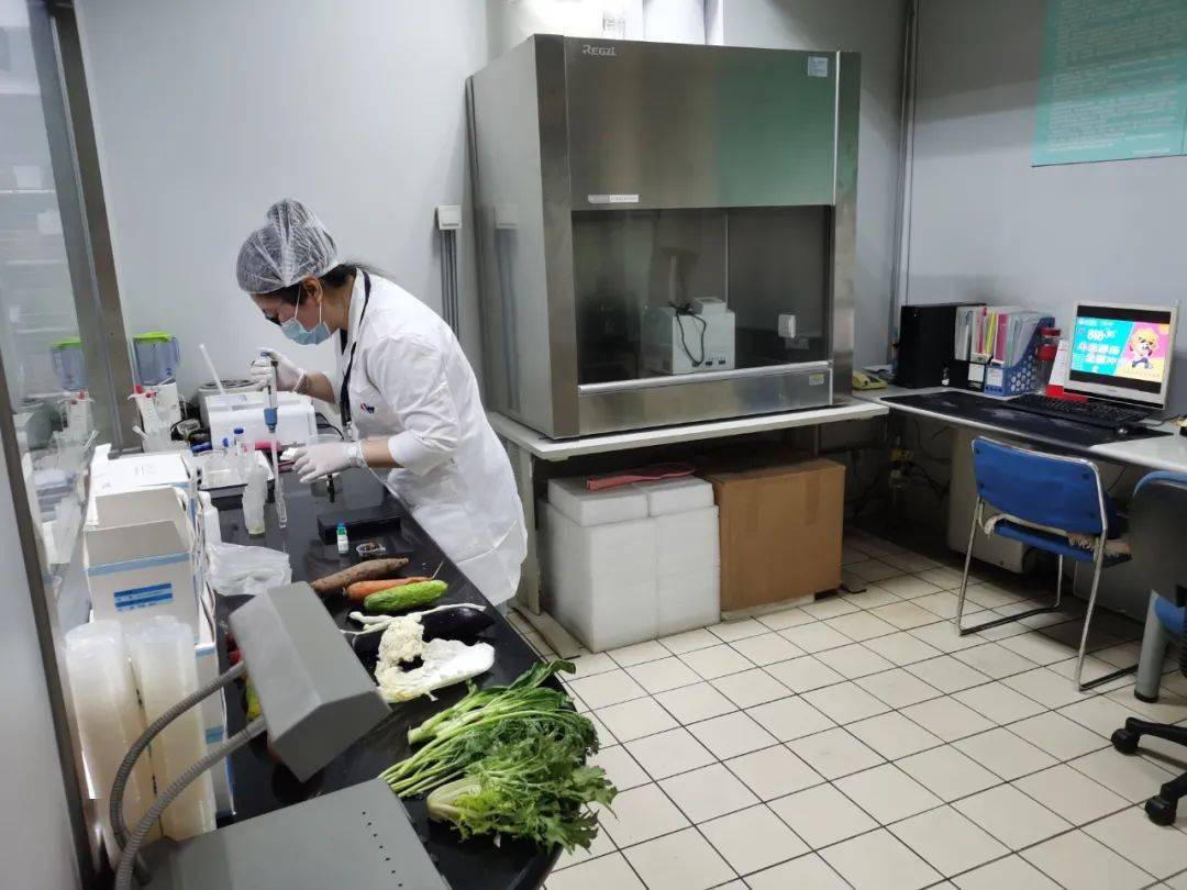 西林食品检测实验室装修方案